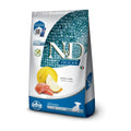 NyD Ocean perro cachorro razas pequeñas