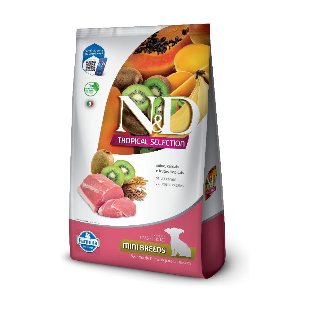 NyD Tropical perro cachorro razas pequeñas CERDO