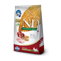 NyD Ancestral perro senior razas pequeñas