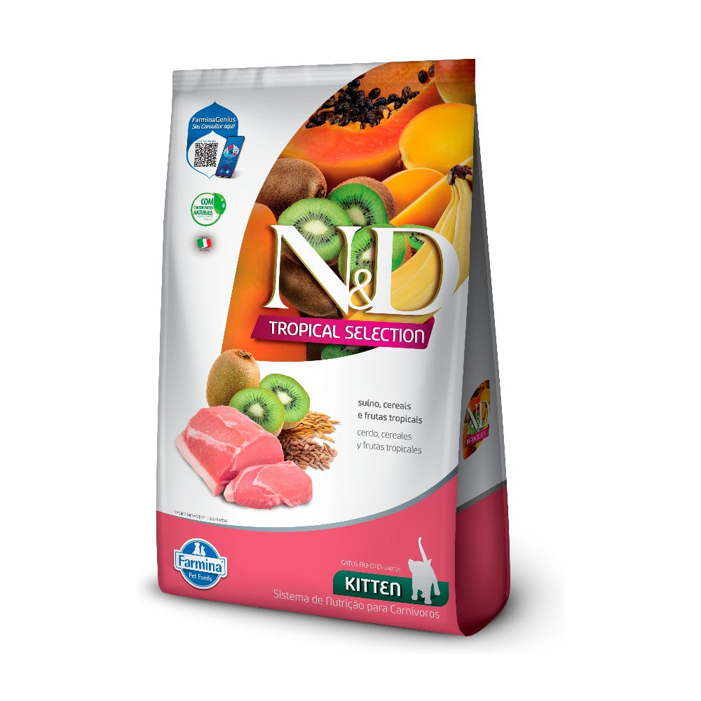 NyD Tropical gato kitten CERDO