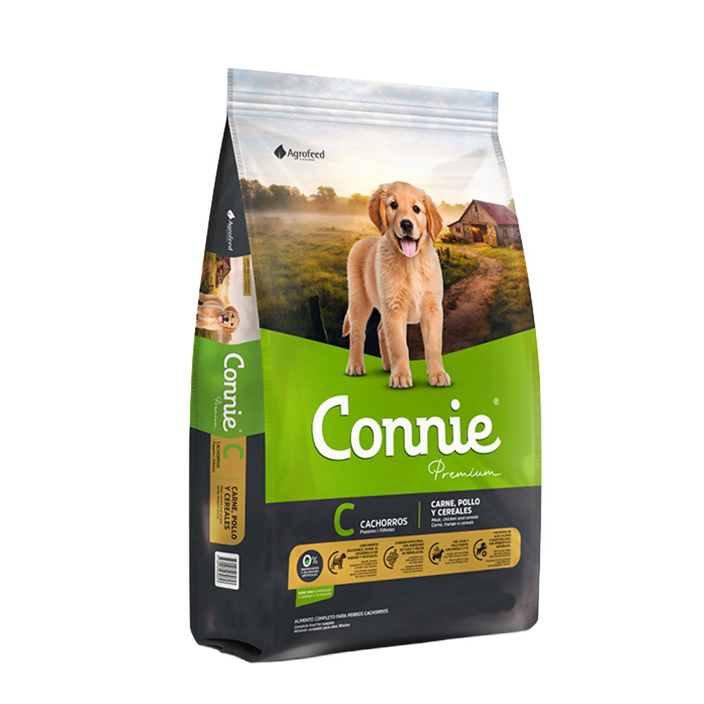 CONNIE Perro cachorro