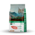 Bravery gato kitten POLLO