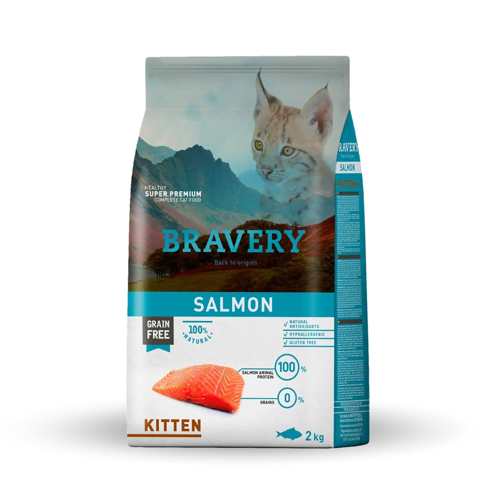 Bravery gato kitten SALMÓN
