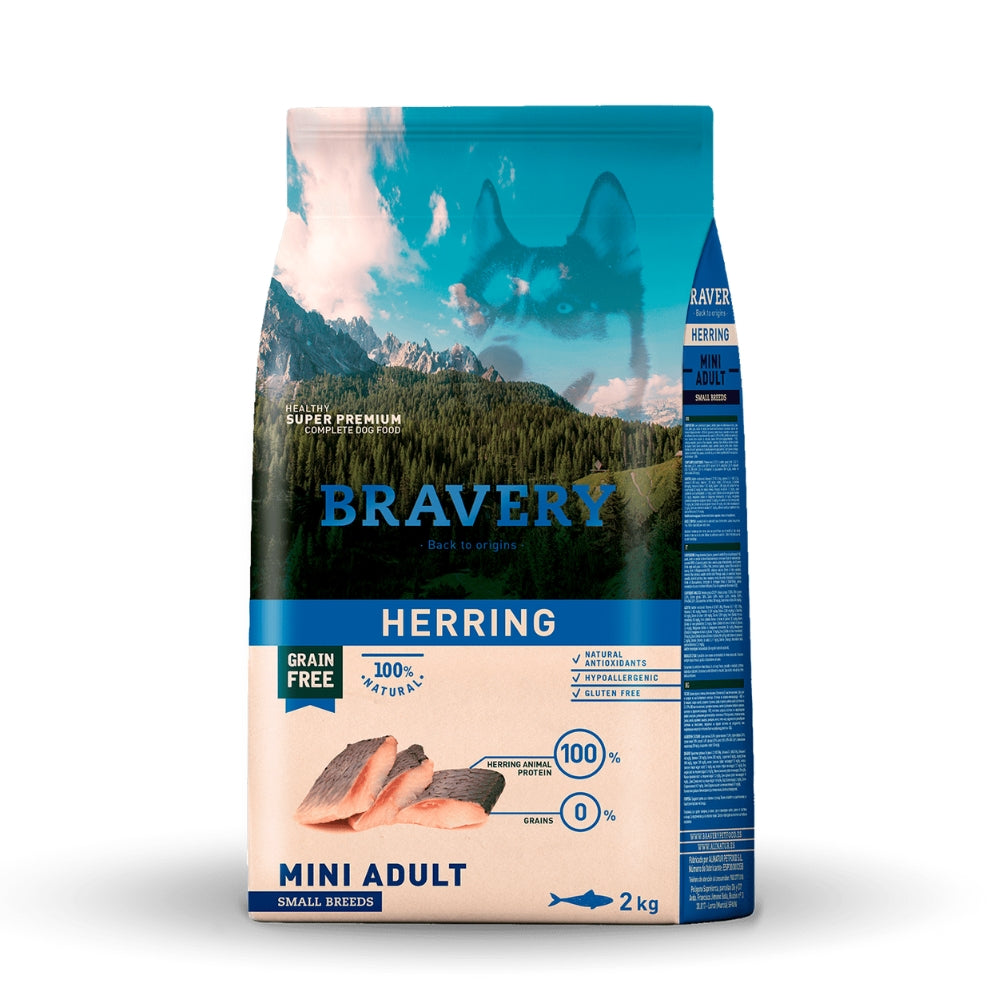Bravery perro adulto raza pequeña ARENQUE