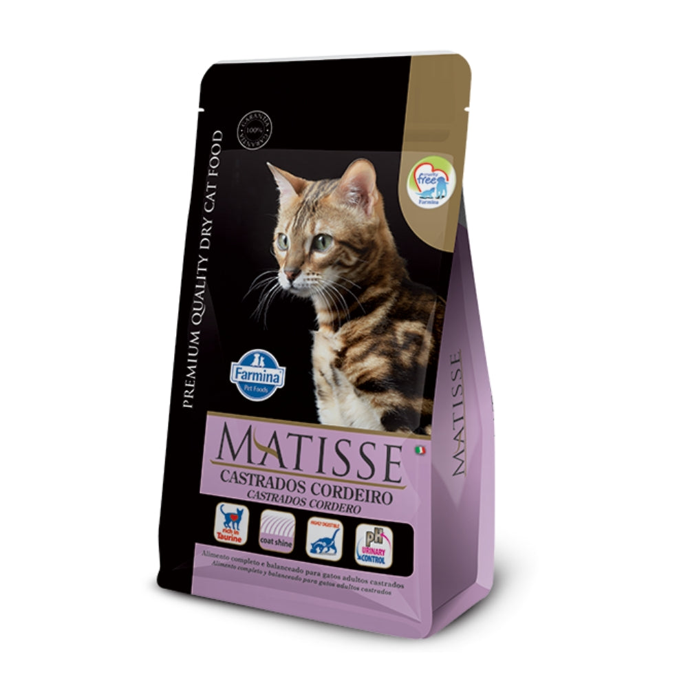 Matisse gato castrado CORDERO