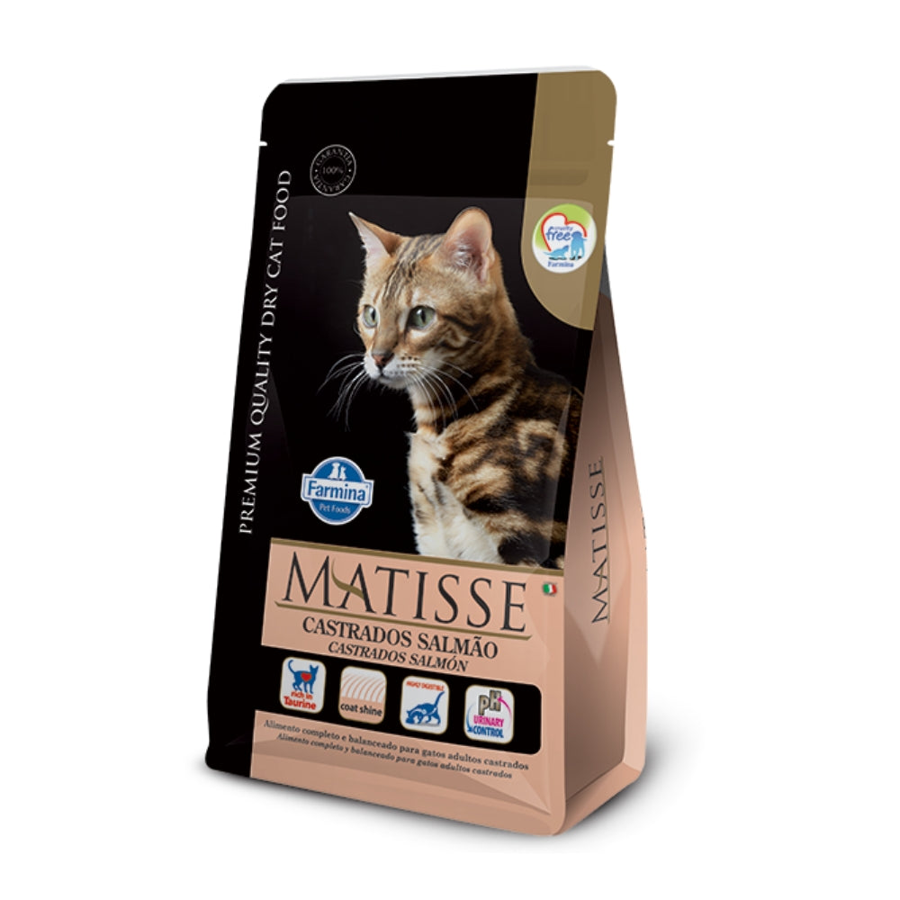 Matisse gato castrado SALMÓN