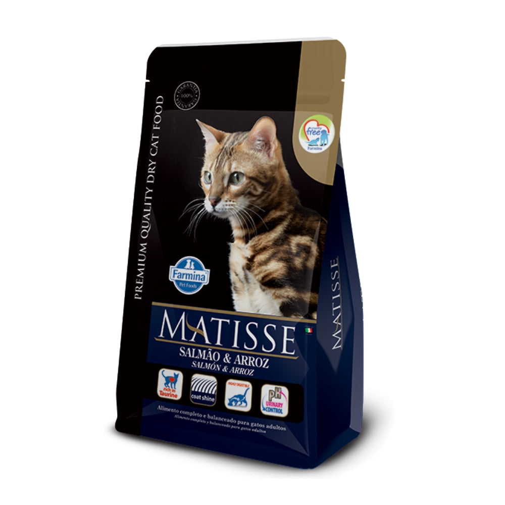 Matisse gato adulto SALMÓN