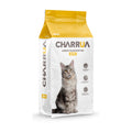 CHARRUA Gato adulto