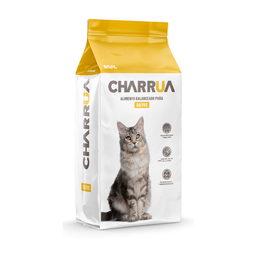 CHARRUA Gato adulto
