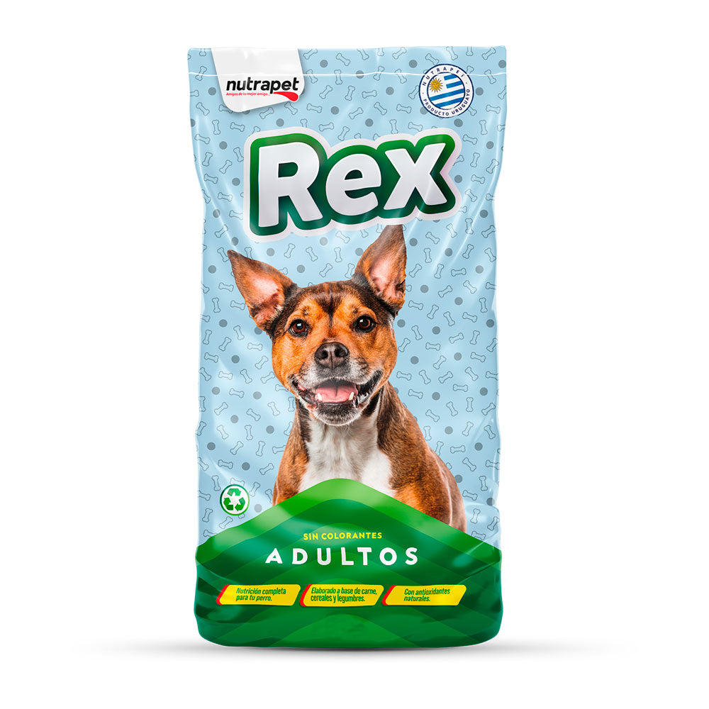 Rex Perro Adulto