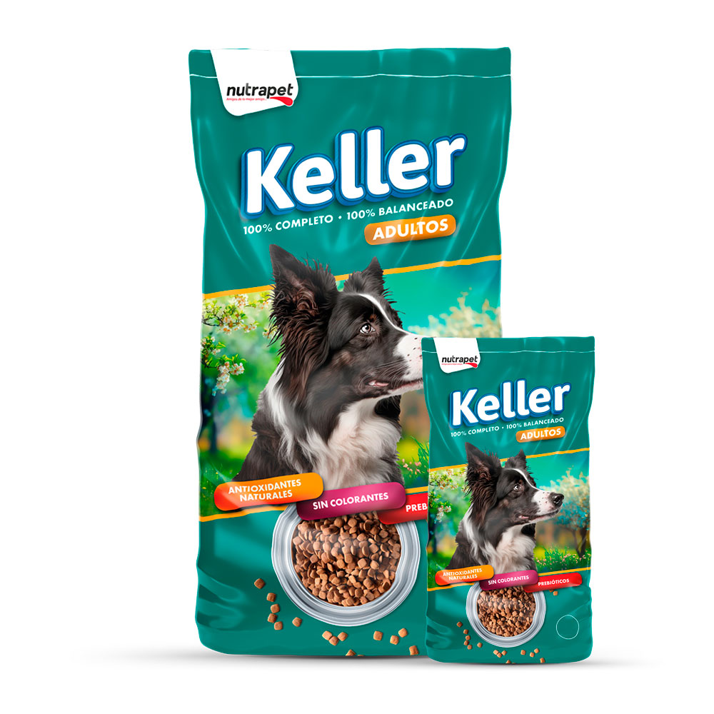 Keller Perro Adulto