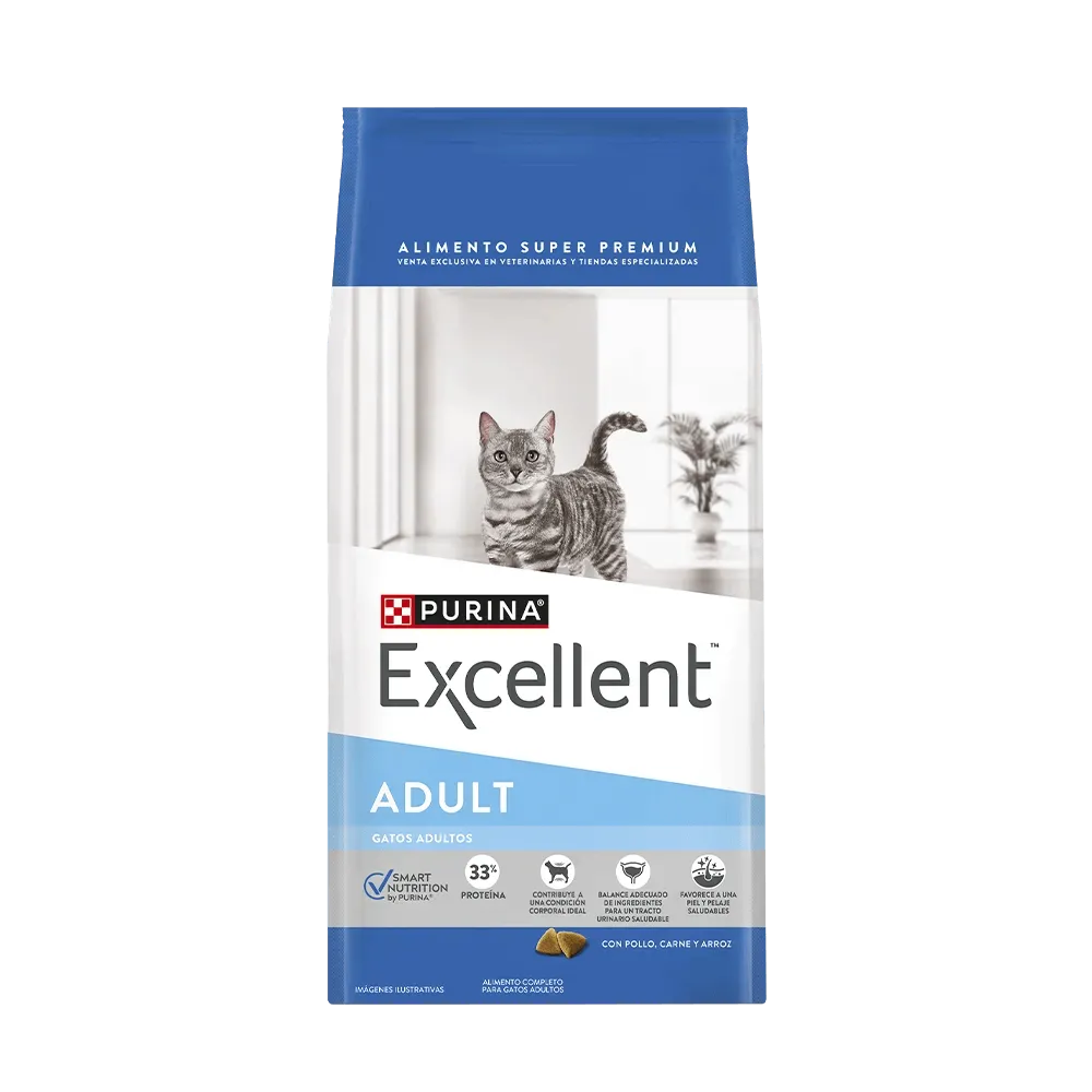 EXCELLENT Gato adulto