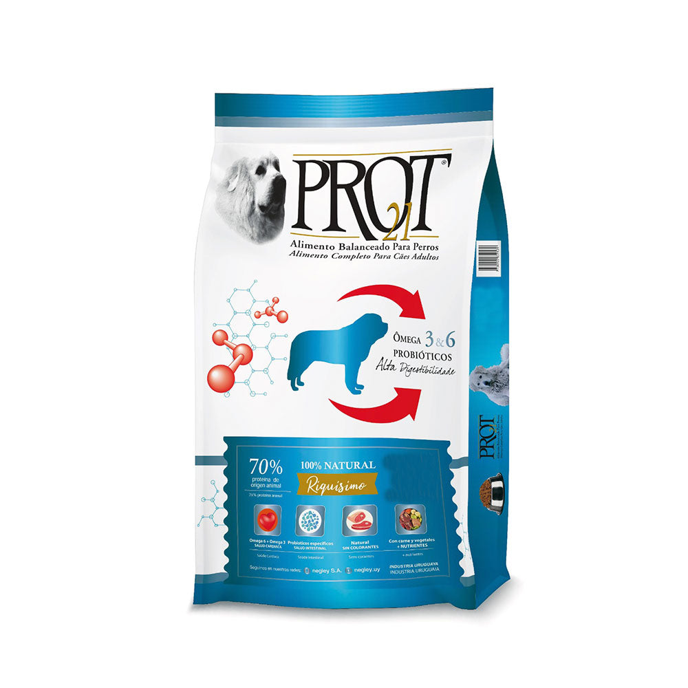 PROT 21 Perro adulto